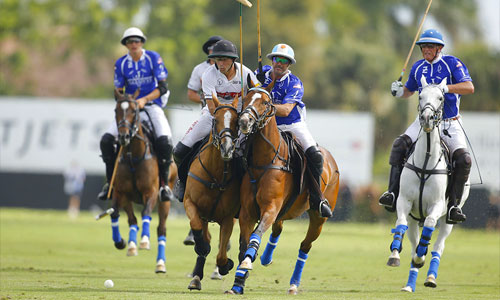 cheval polo