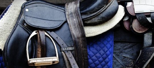 Equipement de chevaux et de cavaliers