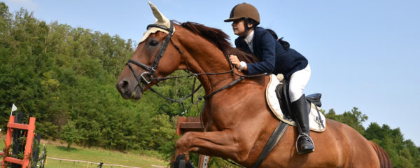 arthrose du cheval
