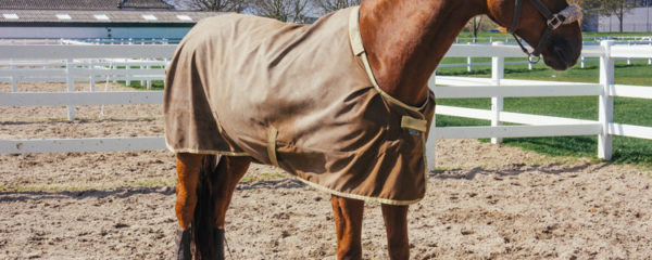 couverture pour cheval